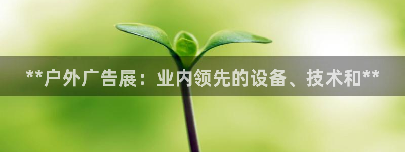 杏宇平台怎么样赚钱