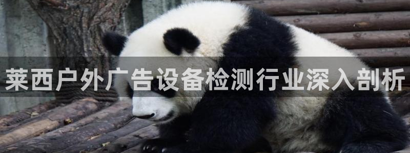 杏宇平台代理多少钱一个