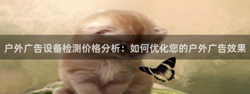杏宇平台总代理电话：户外广告设备检测价格